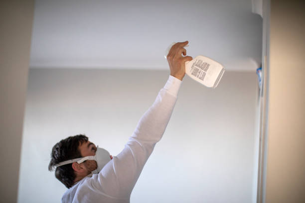 Best Black Mold Removal  in Erlanger, KY