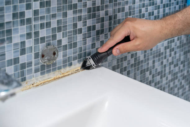 Best Office Mold Removal Services  in Erlanger, KY
